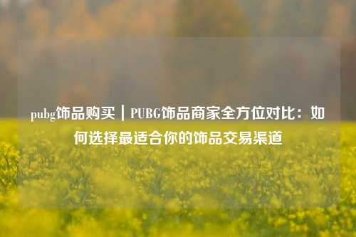 pubg饰品购买|PUBG饰品商家全方位对比:如何选择最适合你的饰品交易渠道