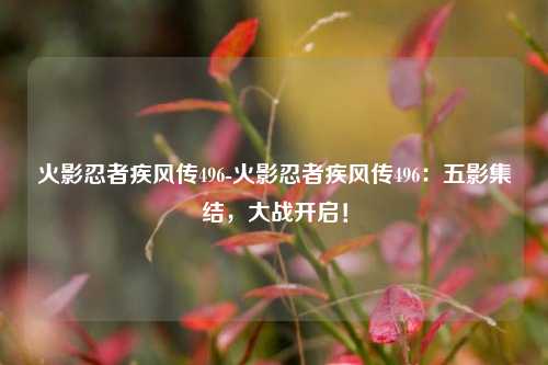 火影忍者疾风传496-火影忍者疾风传496:五影集结,大战开启!
