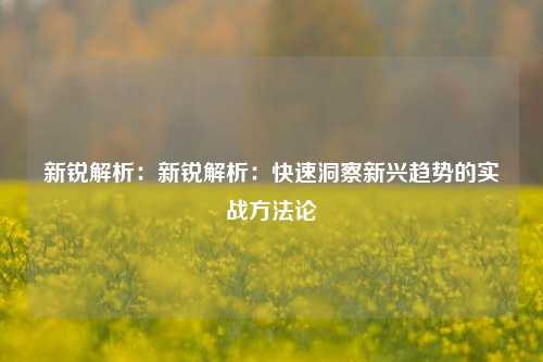 新锐解析:新锐解析:快速洞察新兴趋势的实战方法论