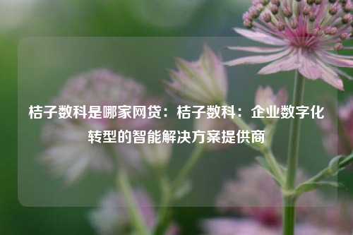 桔子数科是哪家网贷:桔子数科:企业数字化转型的智能解决方案提供商