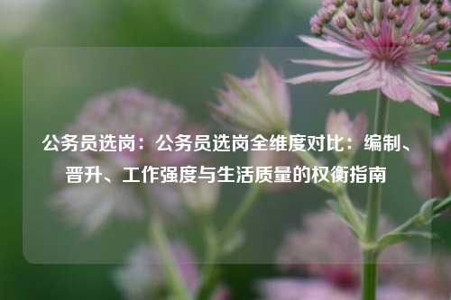 公务员选岗：公务员选岗全维度对比：编制、晋升、工作强度与生活质量的权衡指南